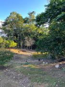 Top Blumenau