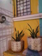 Top Guadalajara Top Guadalajara