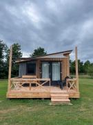 De Merel - Tussen de Wilgen