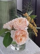 Top Schwarmstedt Top Schwarmstedt