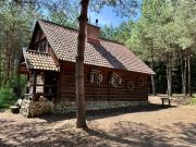 Top Zyzdrojowy Piecek