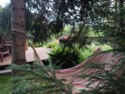 Top Laliki Top Laliki