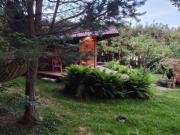 Top Laliki Top Laliki