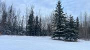 Top North Pole