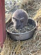 Top Korsør Top Korsør