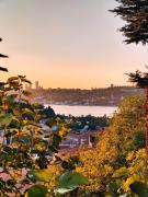 Top Istanbul