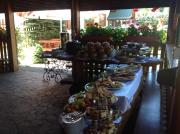 Piastun SPA&Wellness Krynica-Zdrój Piastun SPA&Wellness Krynica-Zdrój