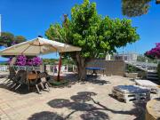 Top Ortona