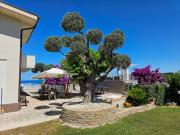 Top Ortona