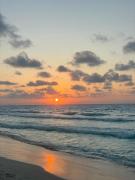 swan lake north coast