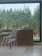 swan lake north coast