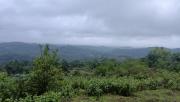 Top Linganamakki
