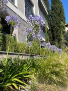 Next door One & Only Portonovi