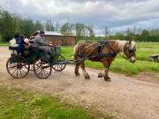 Top Briaucourt