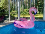 Kakumäe Raba Villa - Luxury Private Spa Villa in Tallinn