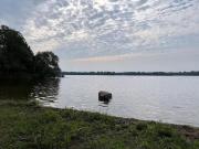 Top Lakefield