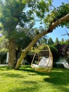 Top Sidi Bou Said
