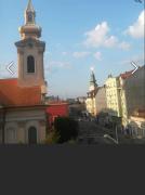 Top Novi Sad