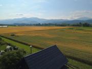 Tiny House Spielberg