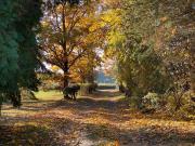 Top Szteklin Top Szteklin