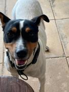 Top Saint-Colomb-de-Lauzun