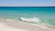 Top Panama City Beach