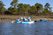 Top Fripp Island