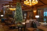 Top Whistler