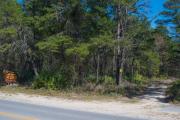 Top Santa Rosa Beach
