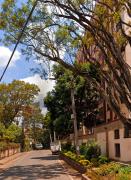 Top Nairobi Top Nairobi