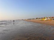 Top Cesenatico