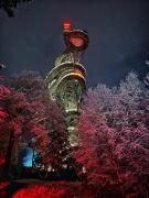 Top Świeradów-Zdrój Top Świeradów-Zdrój