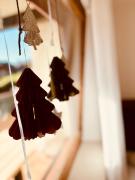 Top Carano Top Carano