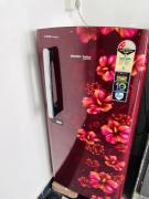 Top Jaipur Top Jaipur