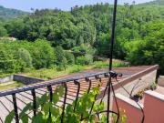 Top Carrodano Inferiore