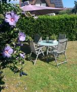 Top Radolfzell am Bodensee