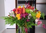 StayBr Jardins - Apto 1 quarto com vaga de garagem, piscina, pet place, academia