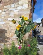 Albergue Monte irago