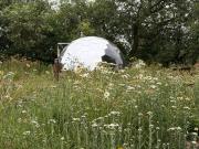 Acorn Glade Glamping York