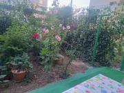 Top Mangalia
