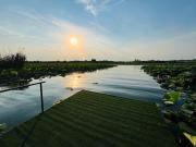 Top Ciofliceni Top Ciofliceni