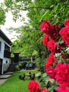 Къщи за гости Костови