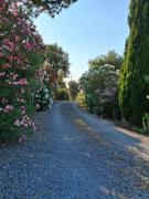 Top Magliano in Toscana