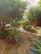 Top Perpignan