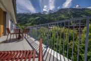 Top Chamonix-Mont-Blanc