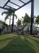 Top Cartagena de Indias