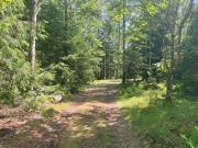 Peaceful Cabin near Furufjall Trail