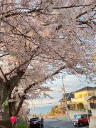 Top Hannan Top Hannan