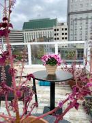 Ten Rooms Istanbul Hotel