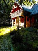 domek w zaczarowanym lesie